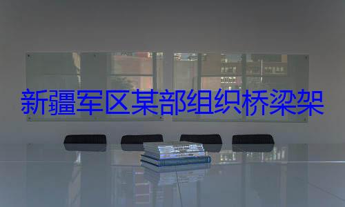 部组织桥梁新疆军区某架设训练图