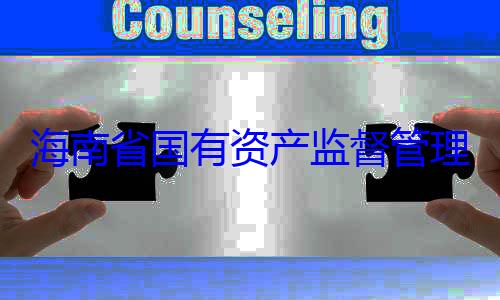 理委员会党委副书记王资产监督管有福接受审海南省国有查调查